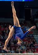 Image result for UCLA Men's Gymnastics