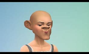 Image result for Weird Sims