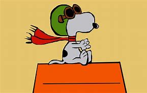 Image result for Cozy Snoopy