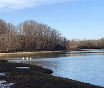 Image result for Overlook Park Brighton MA