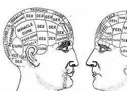 Image result for Man vs Woman Brain Meme