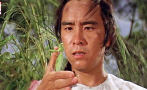 Image result for Mantis Style Kung Fu