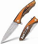 Image result for Sharp Pocket Knife