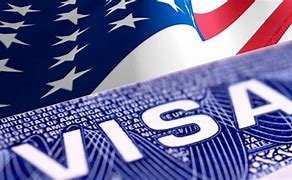 Image result for USA. Visit Visa