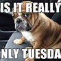 Image result for Funny Tuesday Office Memes