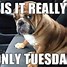 Image result for tuesday work meme