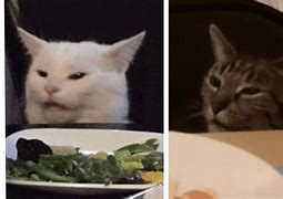 Image result for Food Table Cat Meme