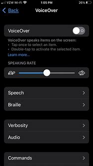 Image result for Apple Watch Accessibility Features