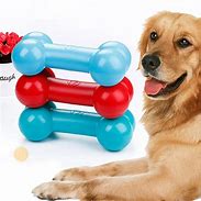 Image result for Funny Pet Toys
