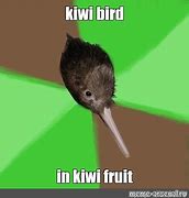 Image result for Kiwi Head Meme
