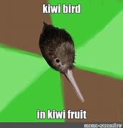 Image result for Kiwi Bloke Meme