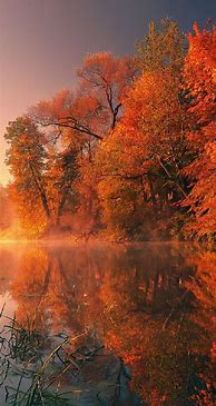 Image result for Autumn Nature iPhone Wallpaper