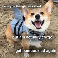 Image result for Wholesome Corgi Memes