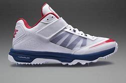 Image result for Cricket Shoes