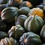 Image result for Types of Winter Squash
