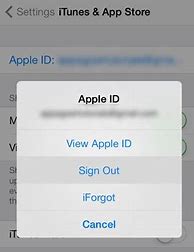 Image result for Remove Linked Apple ID From iPad