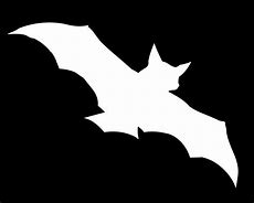 Image result for Bat Pattern Background Transparent