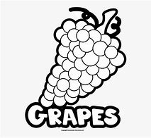 Image result for Grapes sunburn