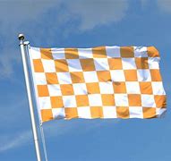 Image result for White and Orange Checker Flag