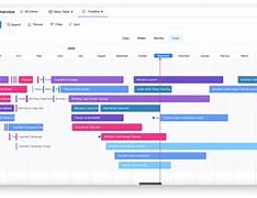 Image result for Monday Timeline View