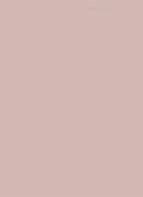 Image result for Rose Gold Colour Swatch