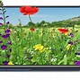 Image result for TCL 30 Xe LCD