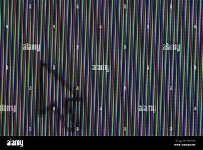 Image result for CRT Dot Screen