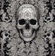 Image result for Beautiful Skull Art
