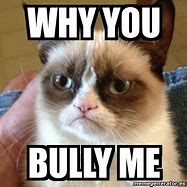 Image result for Cat Bully Meme
