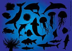 Image result for Marine Life Silhouette