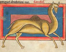 Image result for Medieval Depictions of Animals