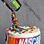 Image result for NASCAR Birthday