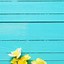 Image result for Yellow iPhone X Wallpaper