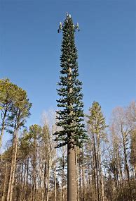 Image result for Disguised Cell Phone Tower