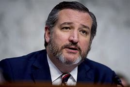 Image result for Ted Cruz Primary
