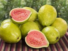 Image result for guayaba