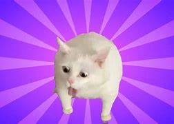 Image result for Gabe Cat Meme