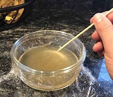 Image result for Fruit Fly Trap with Vinegar