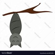 Image result for Cartoon Bat Hanging Upside Down