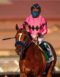Image result for Horse Racing Nation Breeders' Cup