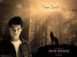 Image result for Twilight Team Jacob