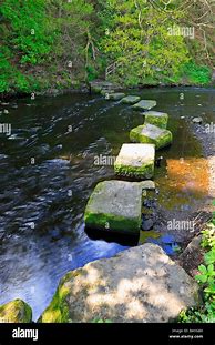 Image result for Stepping Stones River UK
