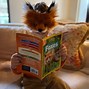 Image result for Faux Fox Fur