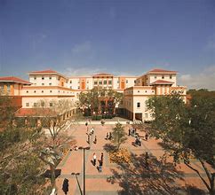 Image result for ringling college of art and design