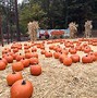 Image result for Apple Ridge Farm