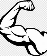 Image result for Arm Muscle Pose