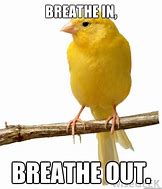 Image result for Breathe Easy Meme