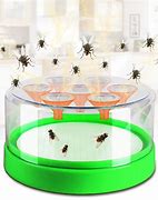 Image result for Indoor House Fly Trap
