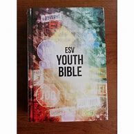 Image result for NIV Youth Bible