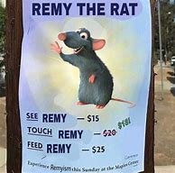 Image result for Remi the Rat Meme